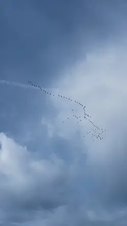 Slow living - Malmö🌿