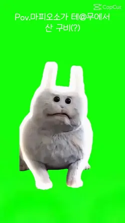 테무산구비