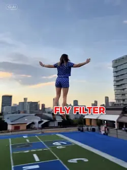 FLY FILTER
