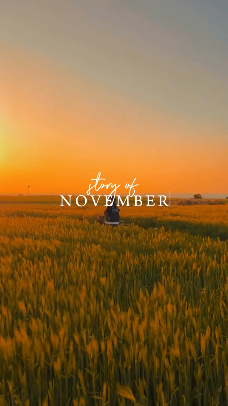 Geschichte vom November
