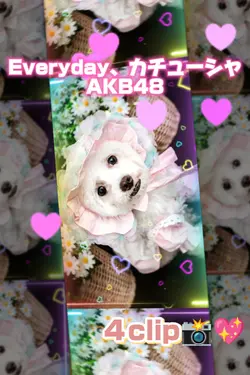 Everyday、カチューシャ