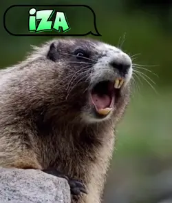 IZA
