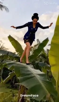 naik daun