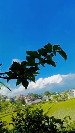 sunda emut bae 