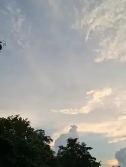 ไลฟ์โฟโต้เฟี้ยวๆ ୨୧