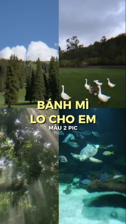 Luôn Yêu Em