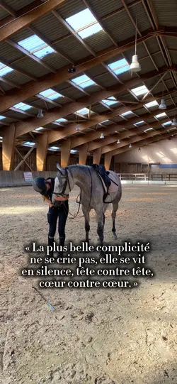 Mchat damr ❤️🥹