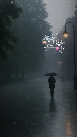 🌊🥹به گمانم ساحل تویی