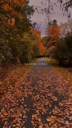 autumn vibes