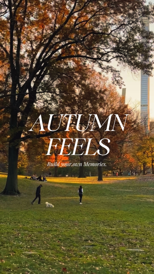 Autumn feels