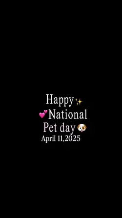 Pet day