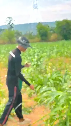 ธรรมชาติ