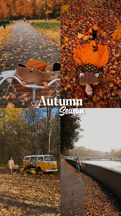 Temporada de otoño 