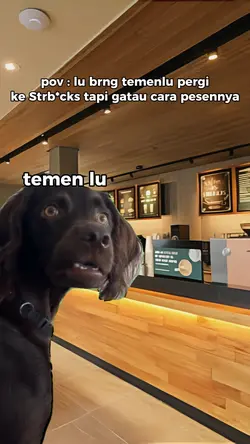 Meme Anjing Bengong