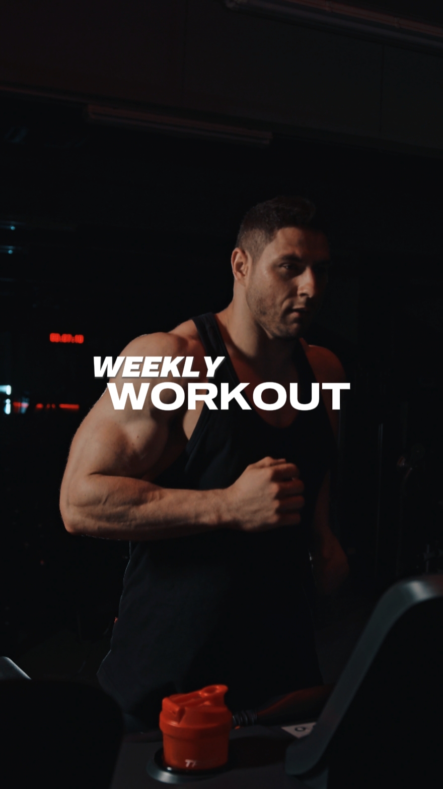 WEEKLY WORKOUT