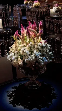 Formatura 