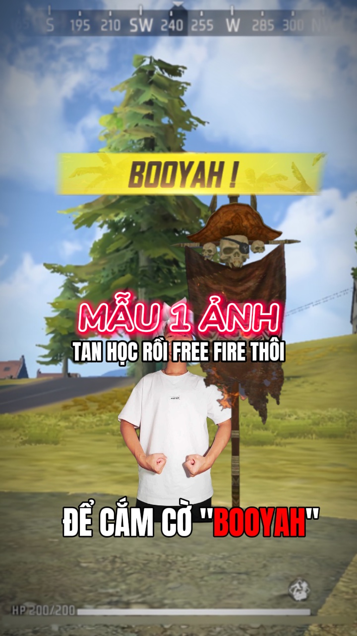 Mẫu 1 Ảnh FF