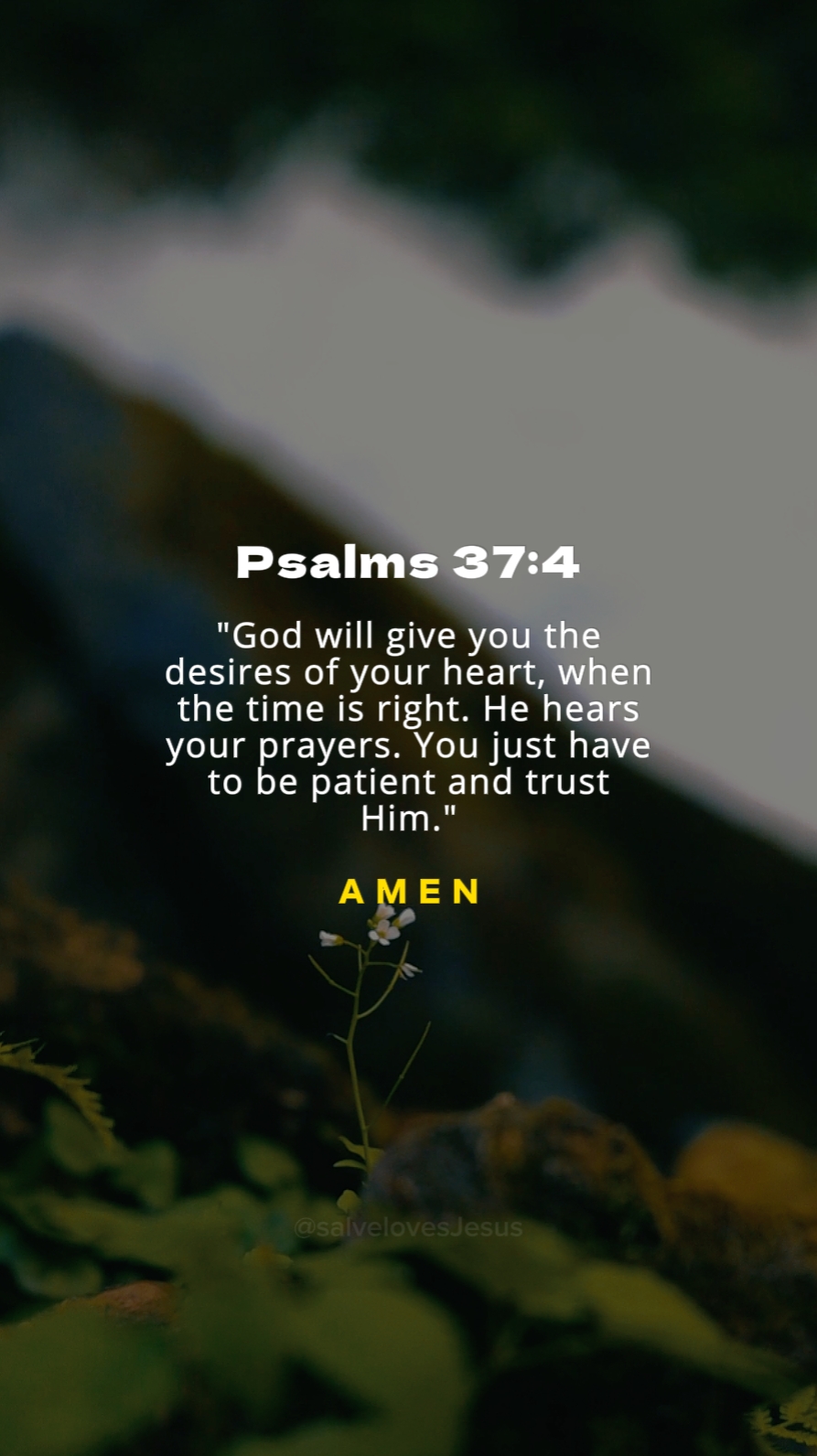 Psalms 37:4