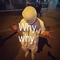 the flight by skyper