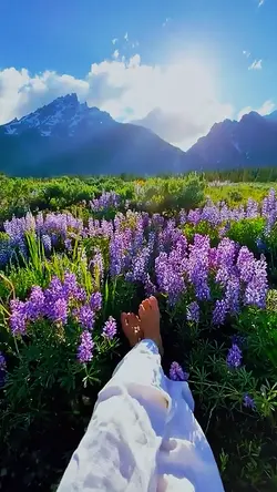 Welcome spring