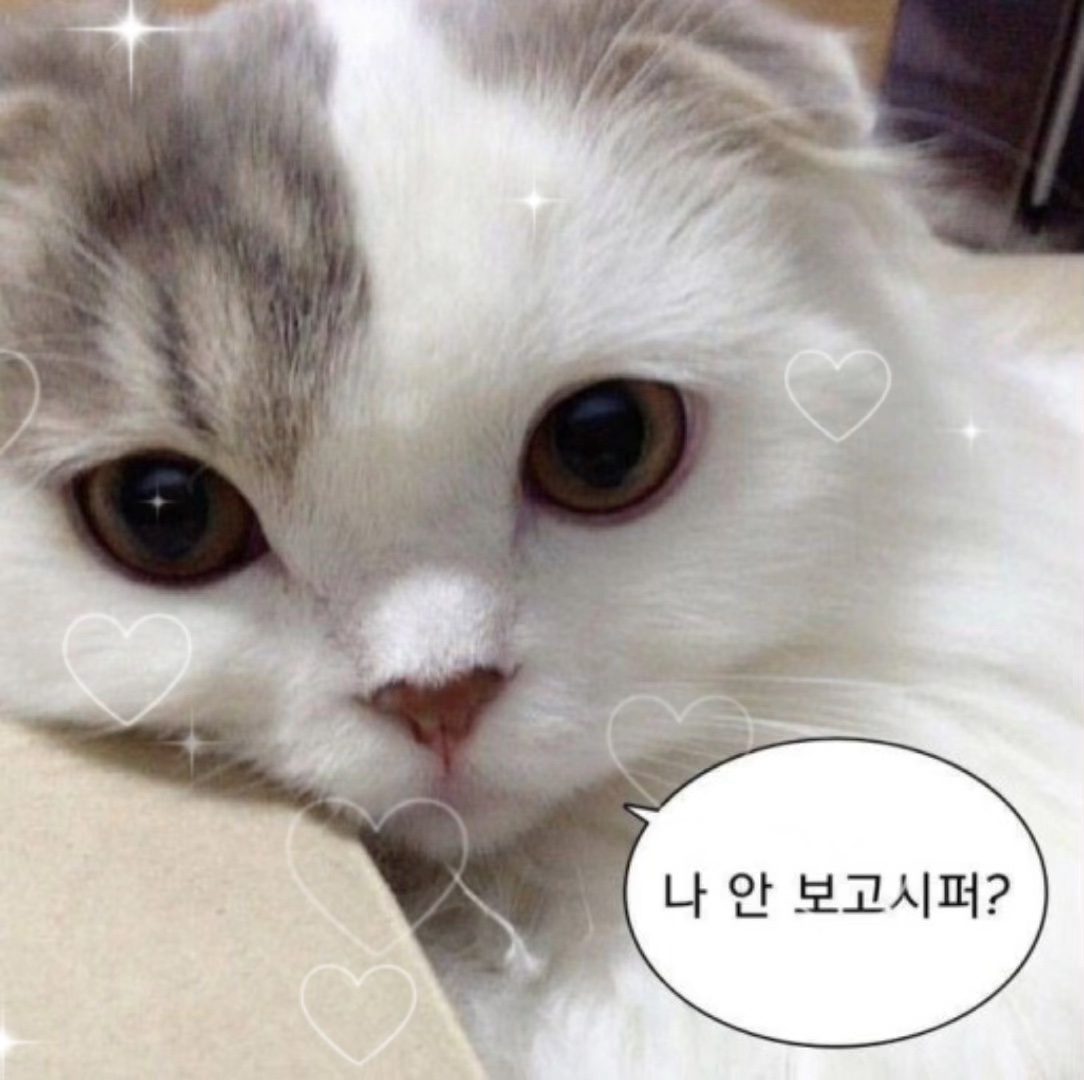 사용해 보세요!소리가 바껴요.