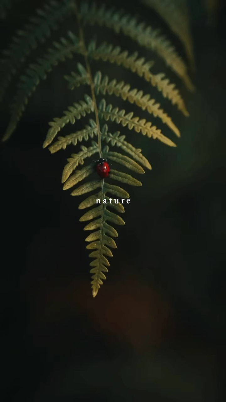 Nature