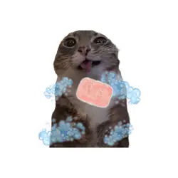 wash my belly