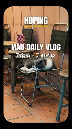 Daily vlog