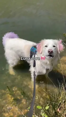 Luna core 🎀