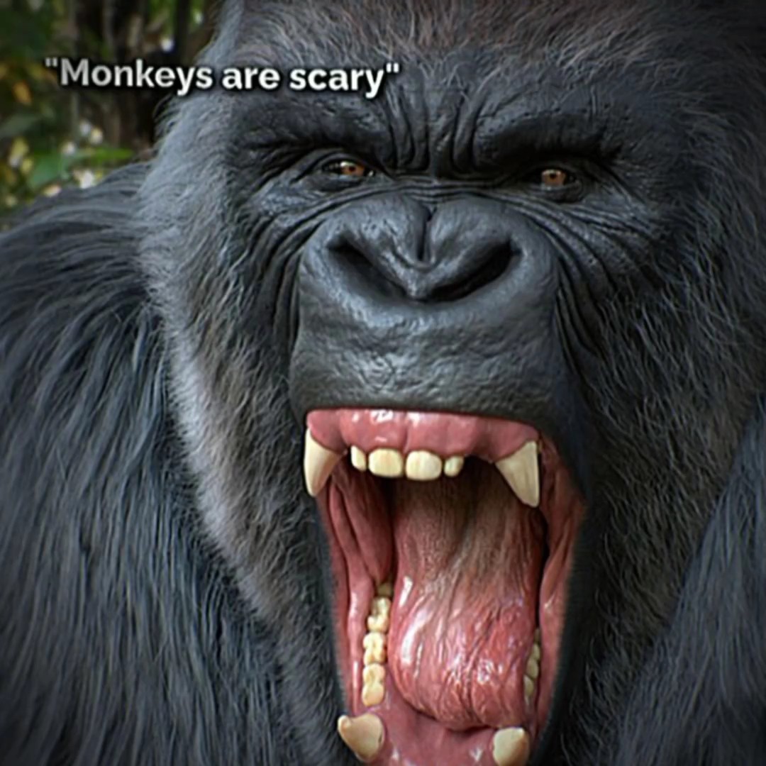 Monkeys are scary 