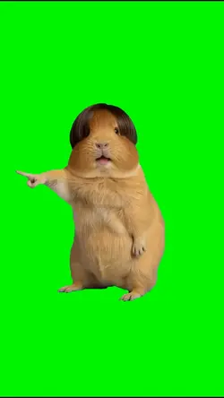 FUNNY MEME TEMPLATE