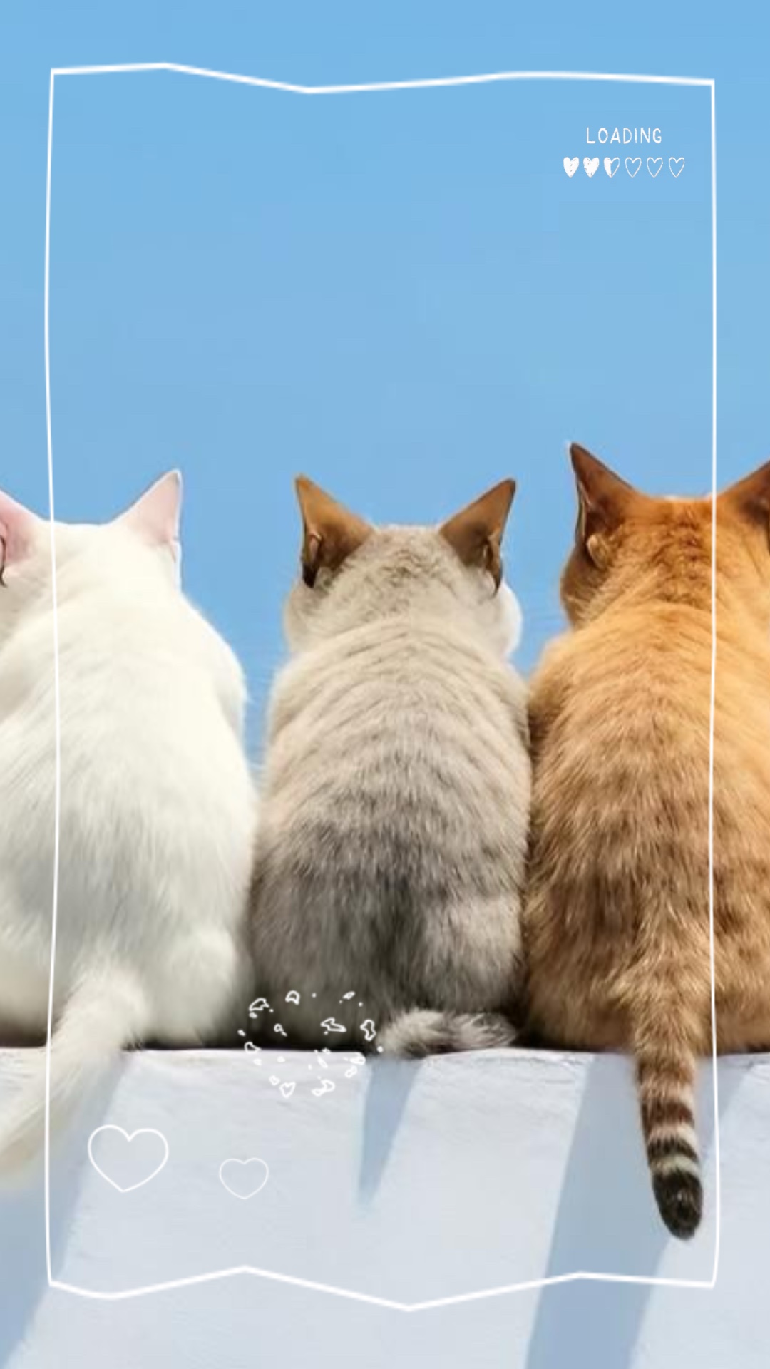 LOVE CAT