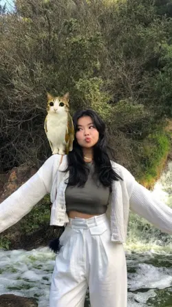 MEOWL CUTE