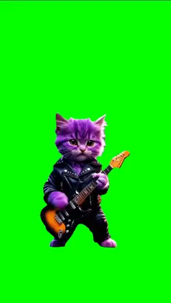 Kitten plays guitar