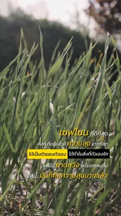 เซฟโซนที่ดีที่สุด