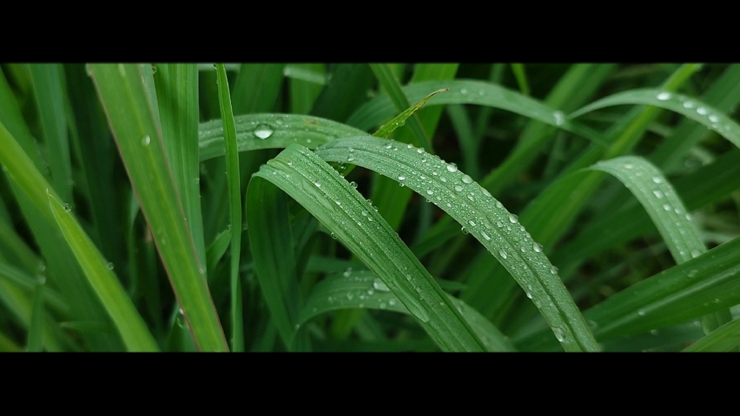 CINEMATIC 4 VIDEO 