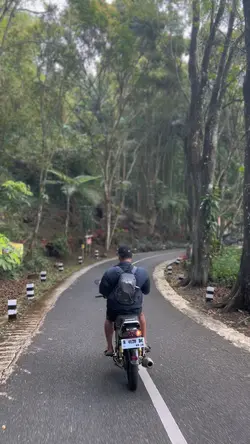 stecu