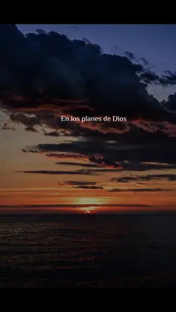 sus planes 