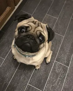 CUTEEE