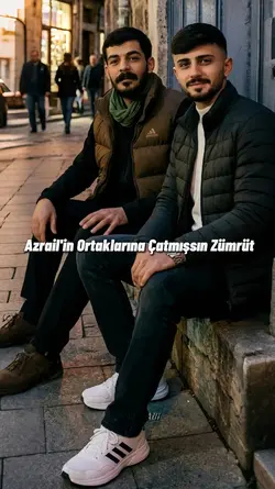 KONT VE CESİ