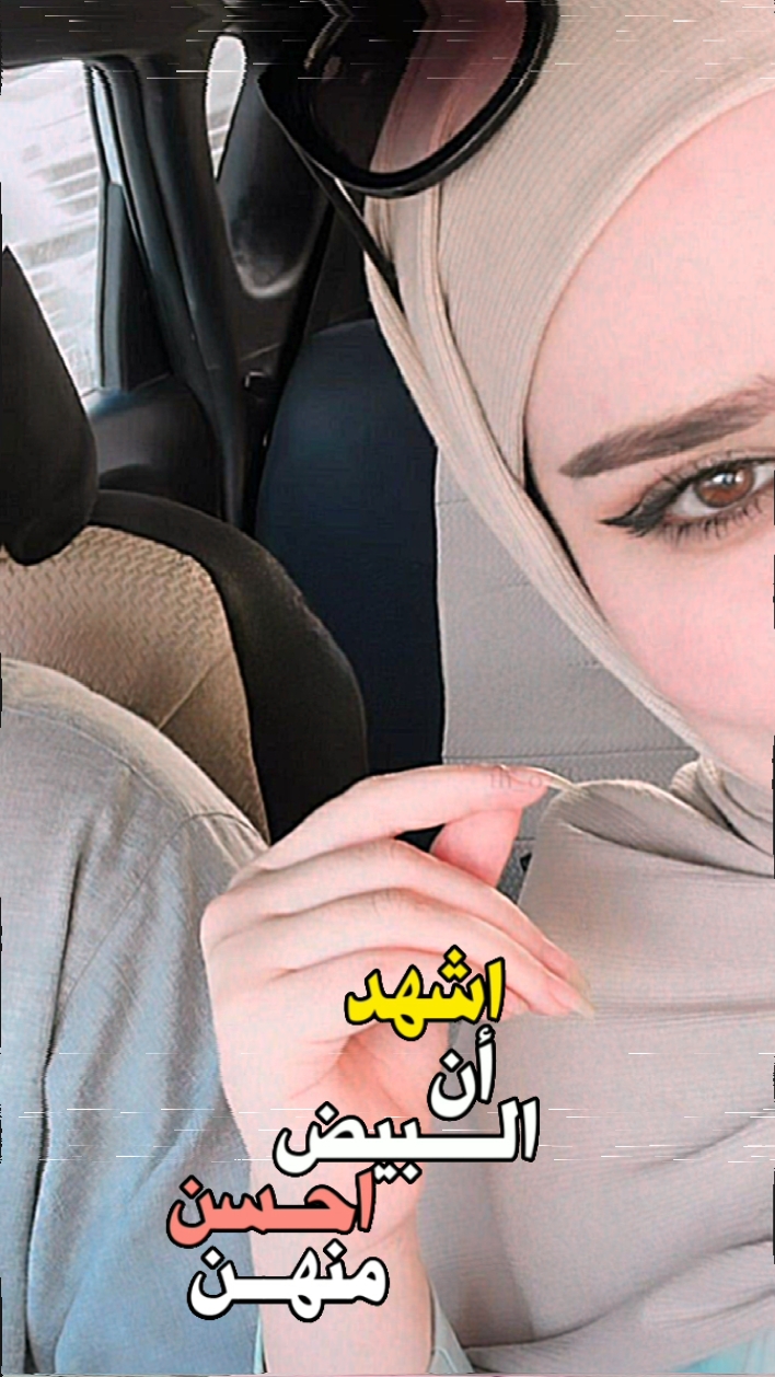 قالب جديد للبيض 