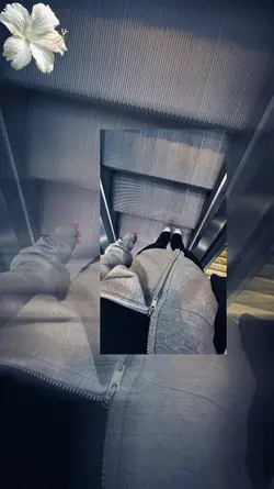 Violet blue gren red