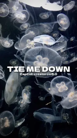 Tie Me Down