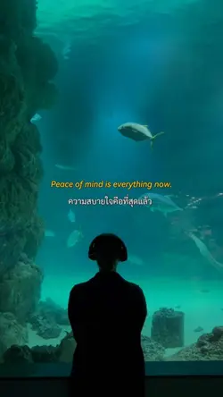 ขอแค่ความสบายใจ