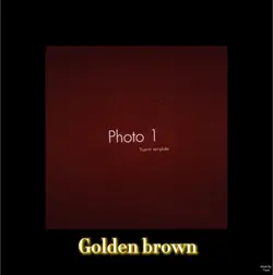 Golden brown ππ€