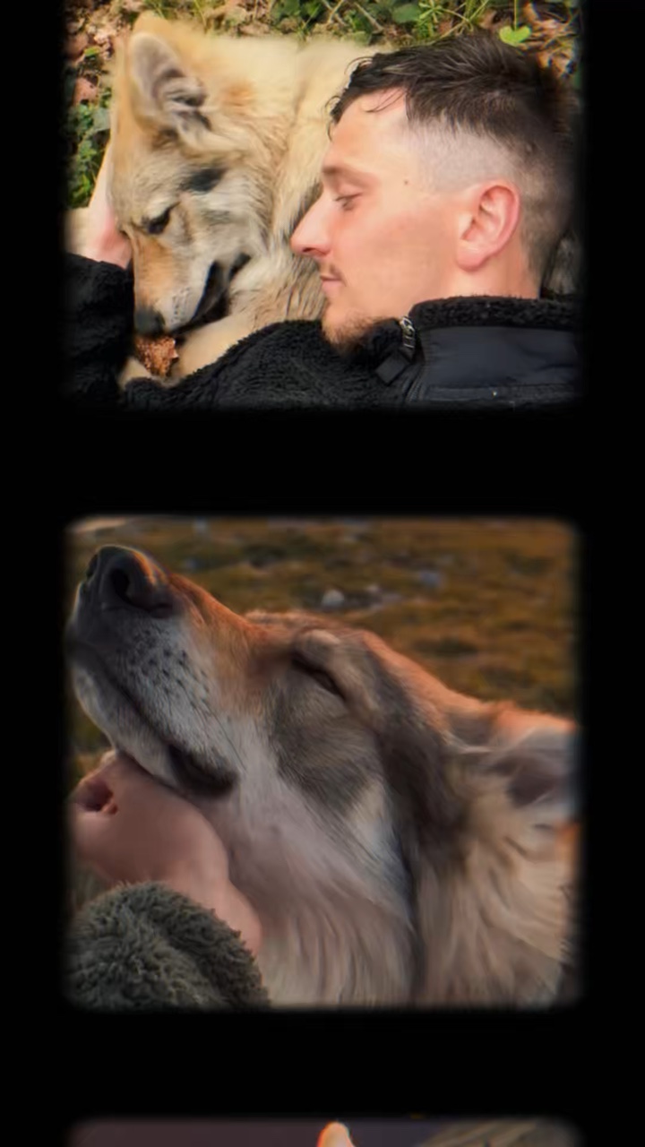 Meine Hundemomente