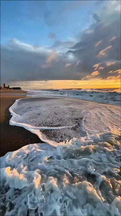 GOLDEN BROWN SMOOTH