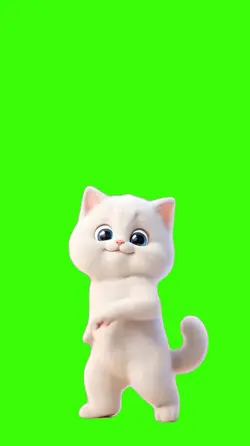 Cat/Gato.