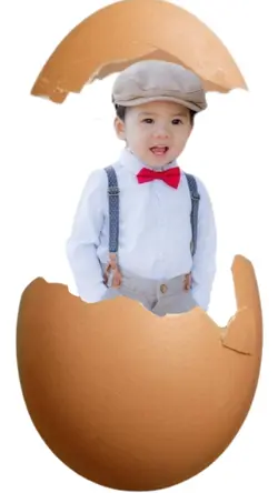 egg trend part2