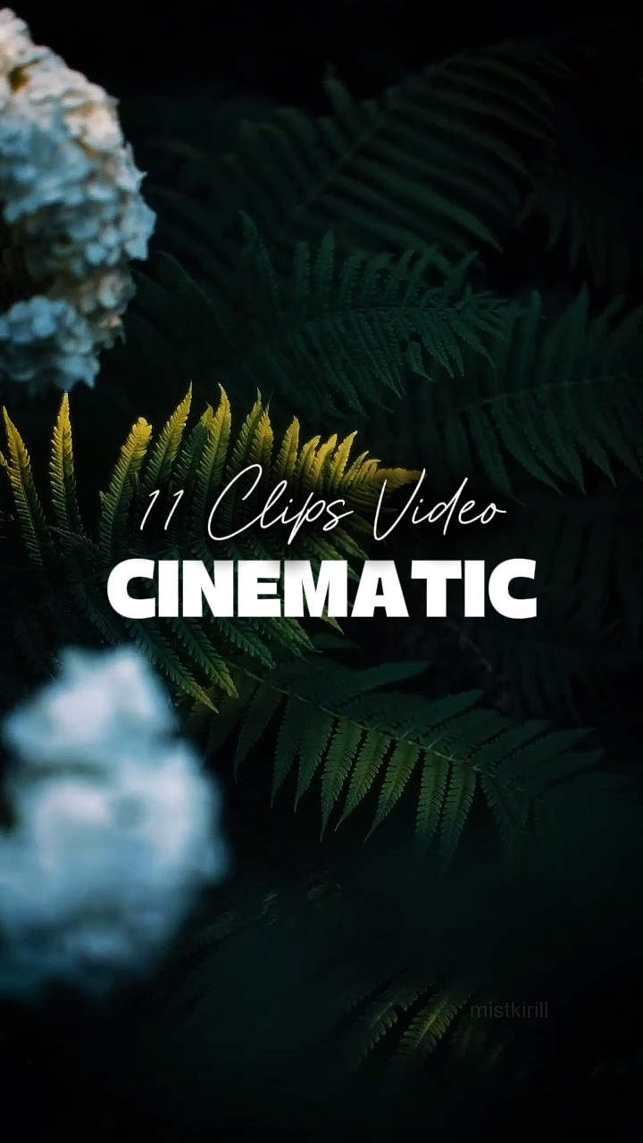 11 Videos Cinematic 